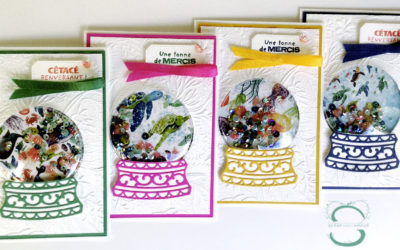 Cartes Trésors d’Océan à secouer